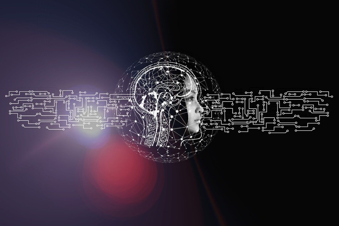 How to introduce AI in your organization